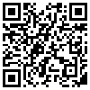 QR Code Handyversion