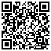 QR Code Handyversion