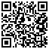 QR Code Handyversion