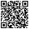 QR Code Handyversion