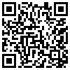 QR Code Handyversion