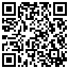 QR Code Handyversion