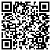 QR Code Handyversion