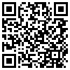 QR Code Handyversion