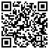 QR Code Handyversion