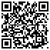 QR Code Handyversion