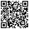 QR Code Handyversion