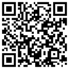 QR Code Handyversion