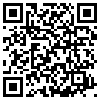 QR Code Handyversion