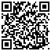 QR Code Handyversion