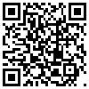 QR Code Handyversion