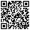 QR Code Handyversion