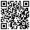 QR Code Handyversion