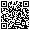 QR Code Handyversion