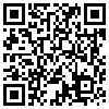 QR Code Handyversion