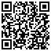 QR Code Handyversion