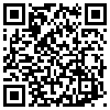 QR Code Handyversion