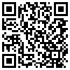 QR Code Handyversion