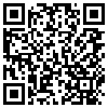 QR Code Handyversion