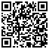 QR Code Handyversion