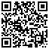 QR Code Handyversion