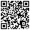 QR Code Handyversion