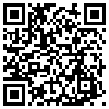 QR Code Handyversion