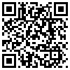 QR Code Handyversion