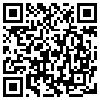 QR Code Handyversion