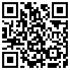 QR Code Handyversion