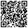 QR Code Handyversion