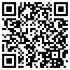 QR Code Handyversion