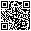 QR Code Handyversion