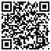 QR Code Handyversion