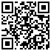 QR Code Handyversion