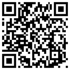 QR Code Handyversion