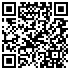 QR Code Handyversion