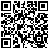 QR Code Handyversion