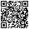 QR Code Handyversion