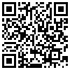 QR Code Handyversion