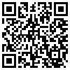 QR Code Handyversion