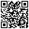 QR Code Handyversion