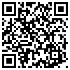 QR Code Handyversion