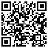 QR Code Handyversion