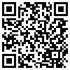 QR Code Handyversion