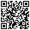 QR Code Handyversion