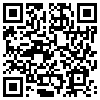 QR Code Handyversion