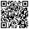 QR Code Handyversion