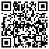 QR Code Handyversion