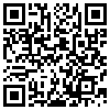 QR Code Handyversion